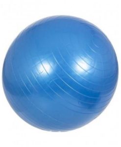 Buy Anti-burst Gym Ball 100 cm blue at best price online by Shopse.pk in pakistan