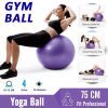 Buy Gym Yoga Ball with Hand Pump Gym Quality Fitness Ball at best price online by Shopse.pk in pakistan