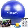 Buy Gym Yoga Ball with Hand Pump Gym Quality Fitness Ball at best price online by Shopse.pk in pakistan (2)